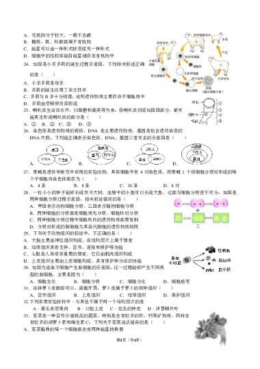 生物七上期中错题整理