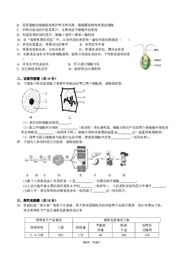 生物七上期中错题整理