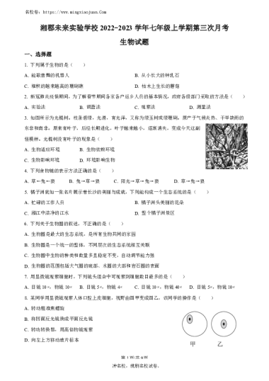 湘郡未来实验学校2022-2023学年七年级上学期第三次月考生物试题