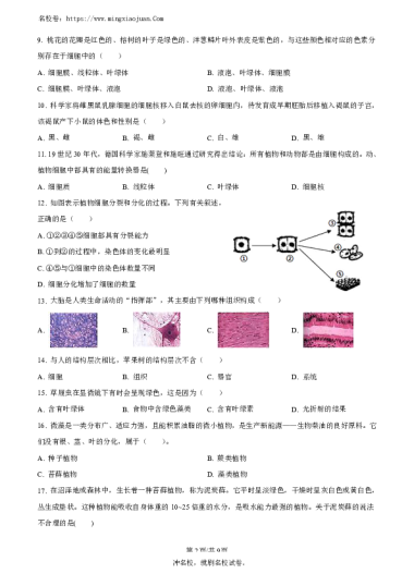 湘郡未来实验学校2022-2023学年七年级上学期第三次月考生物试题
