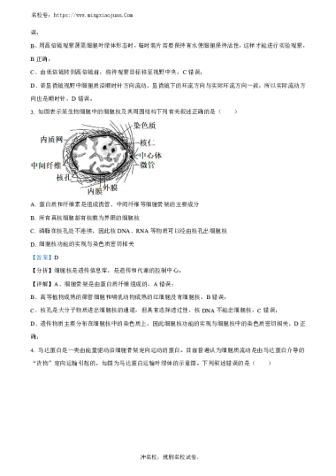 雅礼集团2023-2024学年第一学期12月联考高一年级生物试卷参考答案